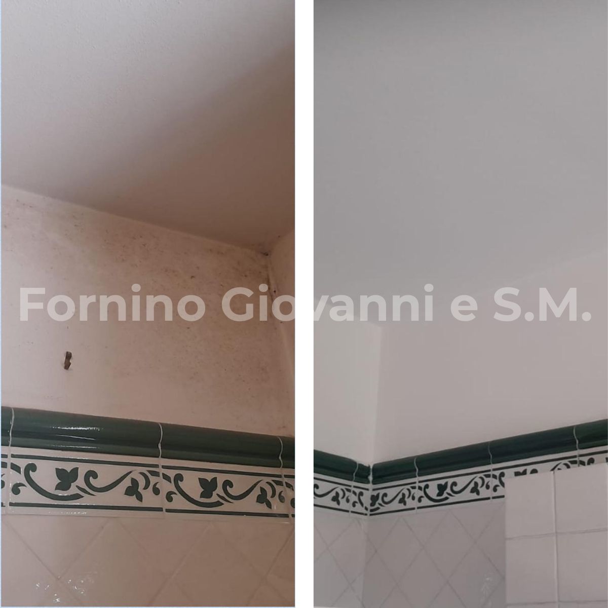 trattamento-antimuffa-firenze-imbianchino