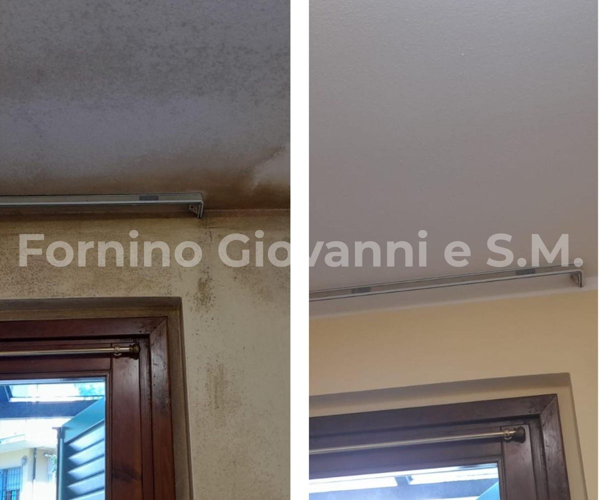 prima-dopo-trattamento-antimuffa-toscana-1